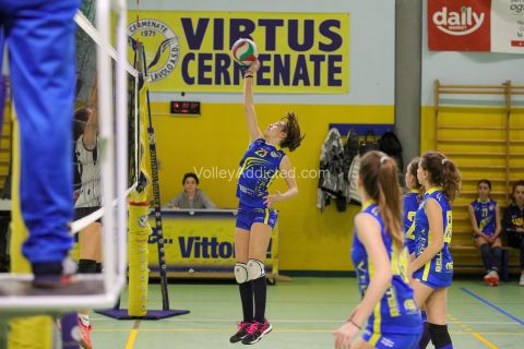 #CsiComo #VolleyAddictedVIRTUS CERMENATE 0 - POLISP. COMENSE 3Under 16 Femminile CSI Como - 5^ GiornataCermenate (CO) - 19 novembre 2022Gallery: www.volleyaddicted.comCredit: Morotti Matteo/VolleyAddicted.com