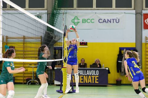 #FipavComo #VolleyAddictedVIRTUS CERMENATE 3 - POL. COLVERDE 0Prima Divisione Femminile Como - 9^ GiornataCermenate (CO) - 15 dicembre 2023Gallery: www.volleyaddicted.comCredit: Morotti Matteo/VolleyAddicted.com