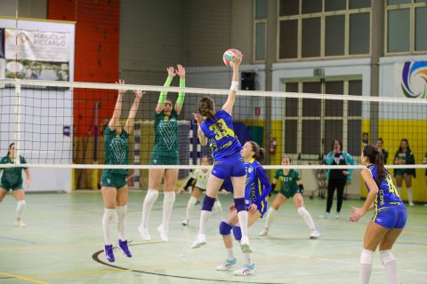 #FipavComo #VolleyAddictedVIRTUS CERMENATE 3 - POL. COLVERDE 0Prima Divisione Femminile Como - 9^ GiornataCermenate (CO) - 15 dicembre 2023Gallery: www.volleyaddicted.comCredit: Morotti Matteo/VolleyAddicted.com