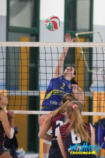 #FipavLombardia #VolleyAddictedITALTEX CABIATE 0 - VIRTUS CERMENATE 3Serie C Femminile 2023/24 Lombardia - 12^ GiornataCabiate (CO) - 13 gennaio 2024Gallery: www.volleyaddicted.comCredit: Morotti Matteo/VolleyAddicted.com