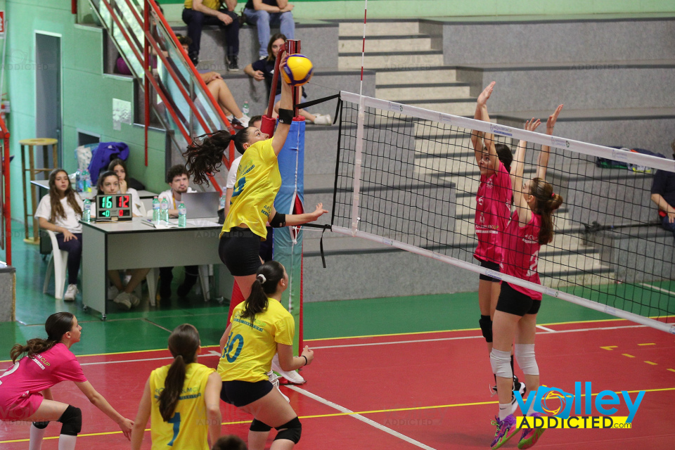 #iLoveVolley #VolleyAddicted #‎FipavLombardia #TdT2024Trofeo dei Territori 2024 - LombardiaMilano - 9 giugno 2024Gallery: www.volleyaddicted.comCredit: Morotti Matteo/VolleyAddicted.com