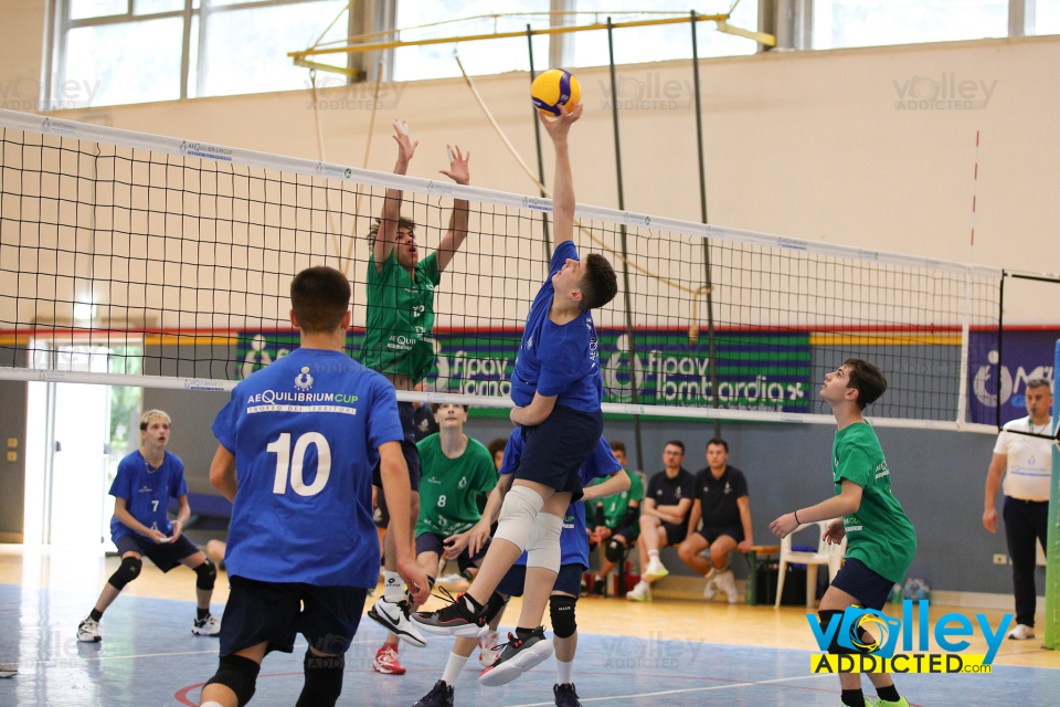 #iLoveVolley #VolleyAddicted #‎FipavLombardia #TdT2024

Trofeo dei Territori 2024 - Lombardia
Milano - 9 giugno 2024

Gallery: www.volleyaddicted.com
Credit: Morotti Matteo/VolleyAddicted.com