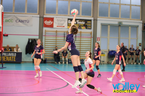 #FipavComo #VolleyAddictedVILLA CORTESE 3 - PALLAVOLO SARONNO 2Finale 1^ Posto - 1^ Winter Cup 50 - Under 16 FemminileCermenate (CO) - 5 gennaio 2025Gallery: www.volleyaddicted.comCredit: Morotti Matteo/VolleyAddicted.com