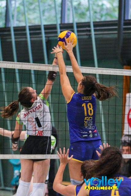 #VolleyAddicted

Open Season 2024 - Volley Lugano
Lugano - Svizzera - 6 ottobre 2024

Gallery: www.volleyaddicted.com
Credit: Morotti Matteo/VolleyAddicted.com