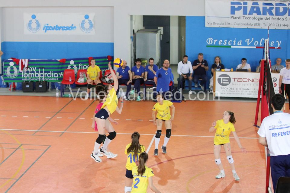 #FipavComo #VolleyAddicted #AeQuilibriumCup #TrofeodeiTerritoriMANTOVA F 1 - COMO F 2Trofeo dei Territori - AeQuilibrium Cup - Lombardia 2023Brescia - 28 maggio 2023Gallery: www.volleyaddicted.comCredit: Morotti Matteo/VolleyAddicted.com