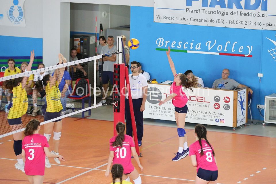 #FipavComo #VolleyAddicted #AeQuilibriumCup #TrofeodeiTerritoriPAVIA F 0 - COMO F 2Trofeo dei Territori - AeQuilibrium Cup - Lombardia 2023Brescia - 28 maggio 2023Gallery: www.volleyaddicted.comCredit: Morotti Matteo/VolleyAddicted.com