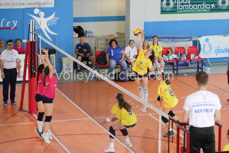 #FipavComo #VolleyAddicted #AeQuilibriumCup #TrofeodeiTerritoriPAVIA F 0 - COMO F 2Trofeo dei Territori - AeQuilibrium Cup - Lombardia 2023Brescia - 28 maggio 2023Gallery: www.volleyaddicted.comCredit: Morotti Matteo/VolleyAddicted.com
