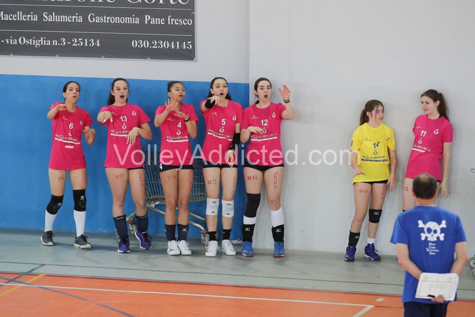 #FipavComo #VolleyAddicted #AeQuilibriumCup #TrofeodeiTerritori

PAVIA F 0 - COMO F 2
Trofeo dei Territori - AeQuilibrium Cup - Lombardia 2023
Brescia - 28 maggio 2023

Gallery: www.volleyaddicted.com
Credit: Morotti Matteo/VolleyAddicted.com