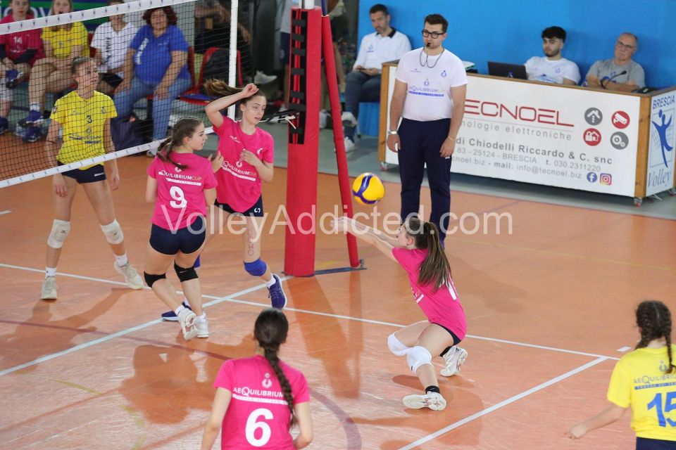 #FipavComo #VolleyAddicted #AeQuilibriumCup #TrofeodeiTerritori

PAVIA F 0 - COMO F 2
Trofeo dei Territori - AeQuilibrium Cup - Lombardia 2023
Brescia - 28 maggio 2023

Gallery: www.volleyaddicted.com
Credit: Morotti Matteo/VolleyAddicted.com