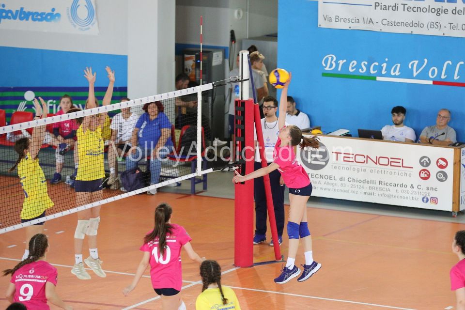 #FipavComo #VolleyAddicted #AeQuilibriumCup #TrofeodeiTerritori

PAVIA F 0 - COMO F 2
Trofeo dei Territori - AeQuilibrium Cup - Lombardia 2023
Brescia - 28 maggio 2023

Gallery: www.volleyaddicted.com
Credit: Morotti Matteo/VolleyAddicted.com